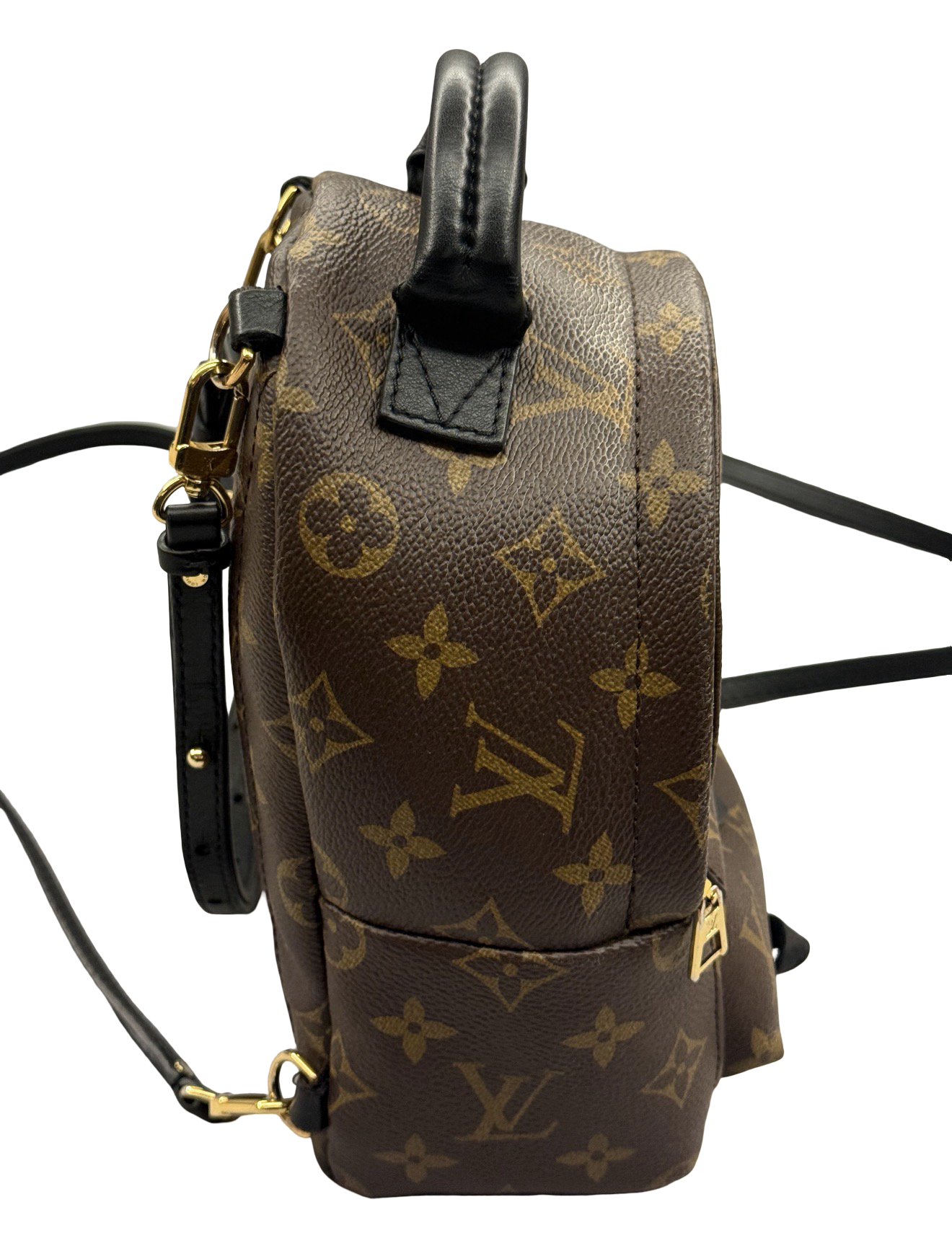 Louis Vuitton Palm Springs