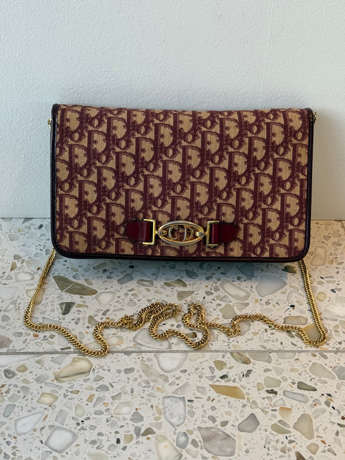 Christian Dior Trotter