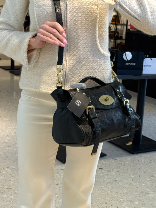Mulberry Alexa