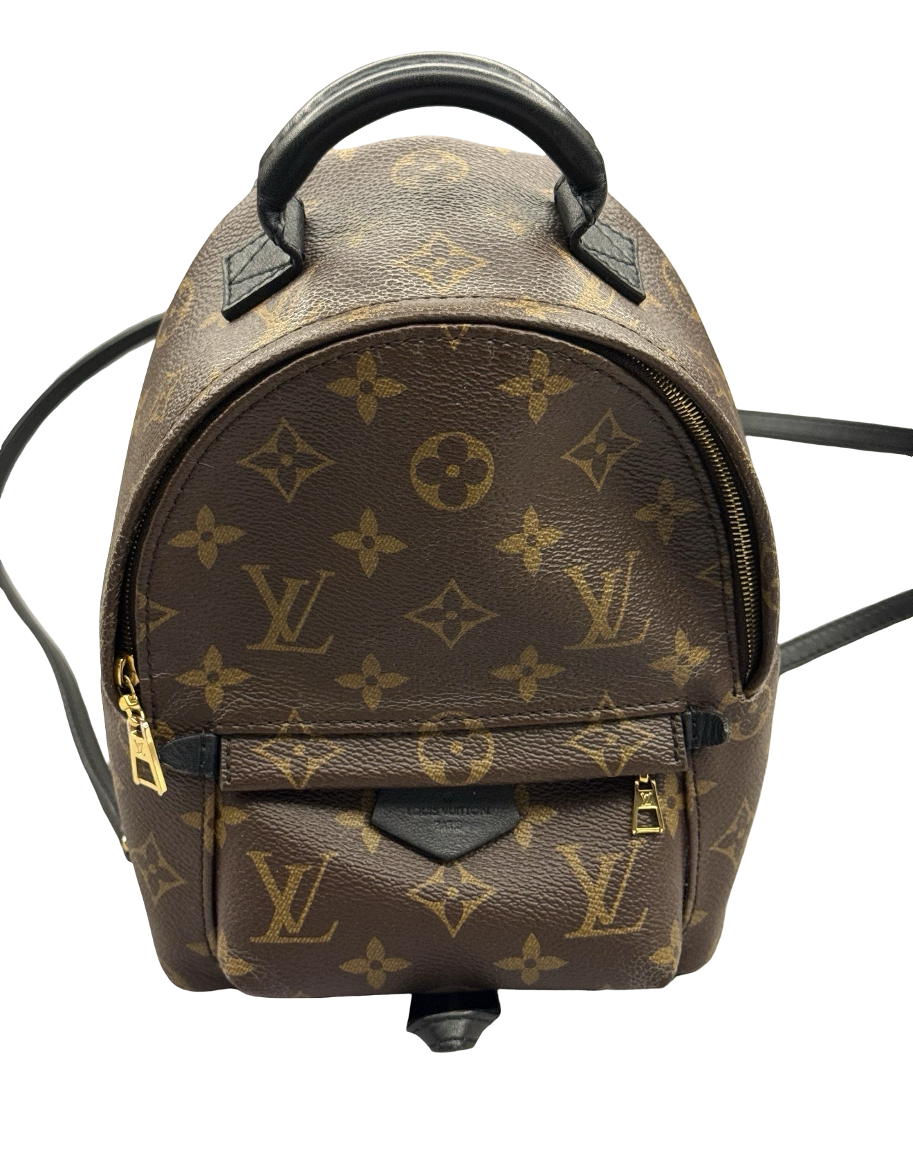 Louis Vuitton Palm Springs