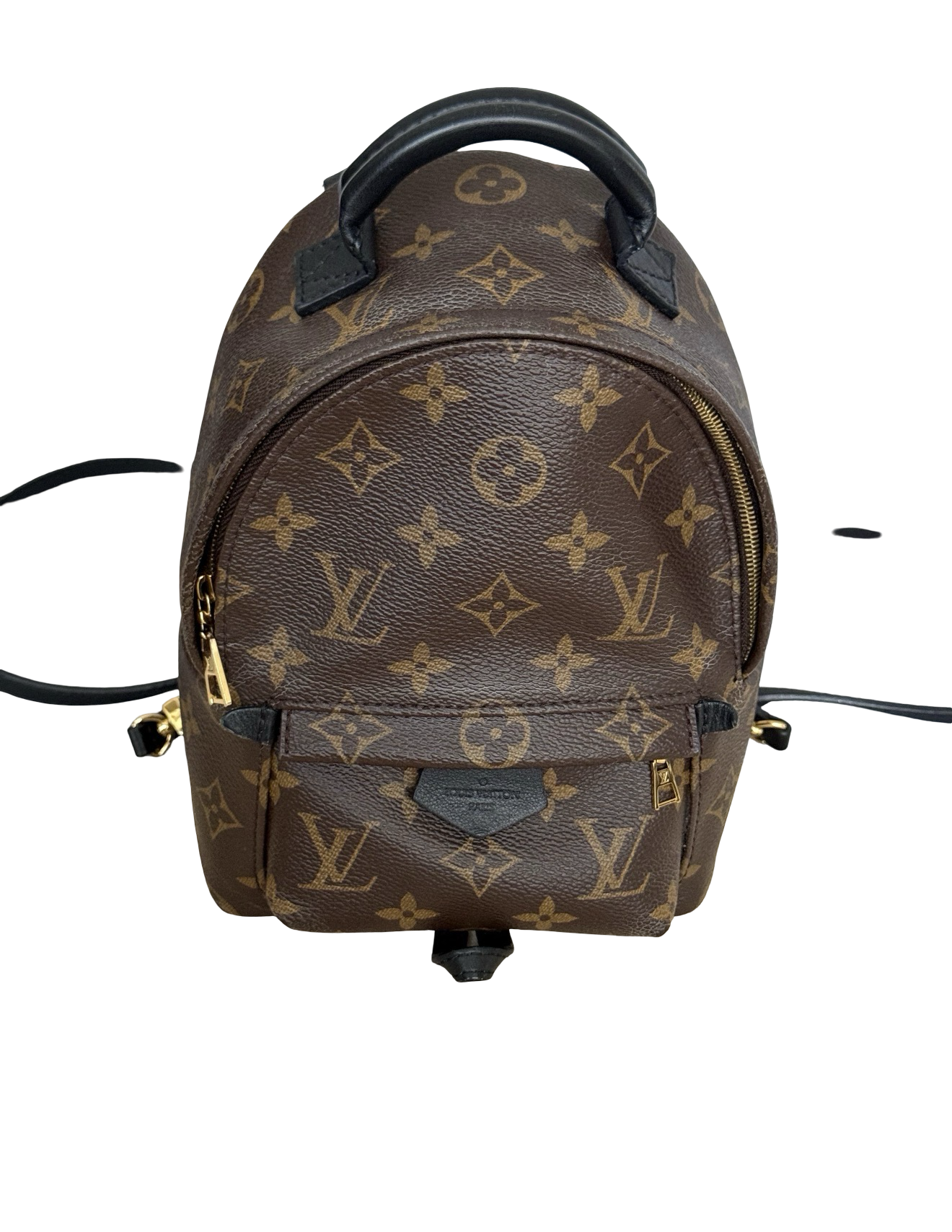 Louis Vuitton Palm Springs