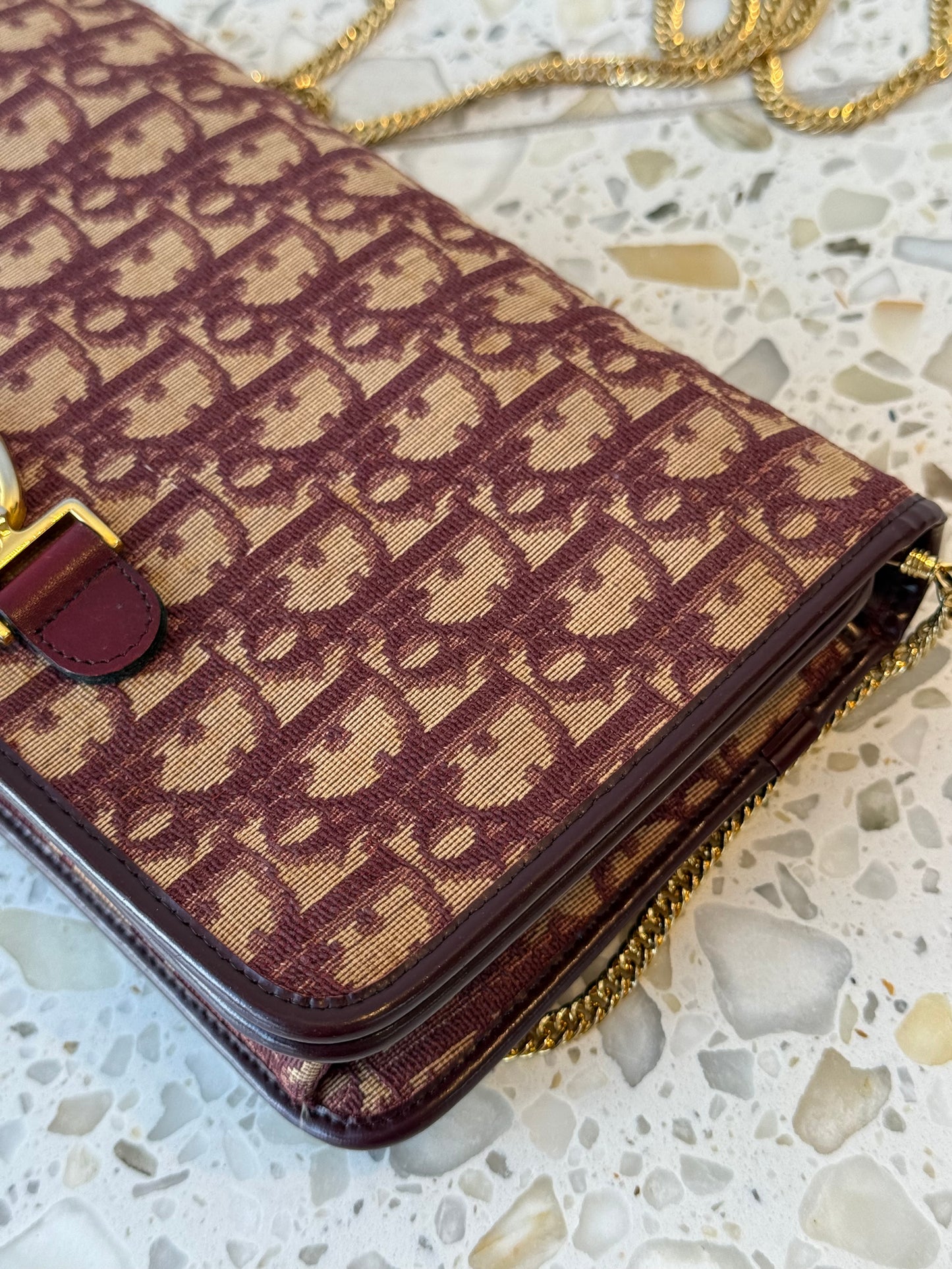 Christian Dior Trotter