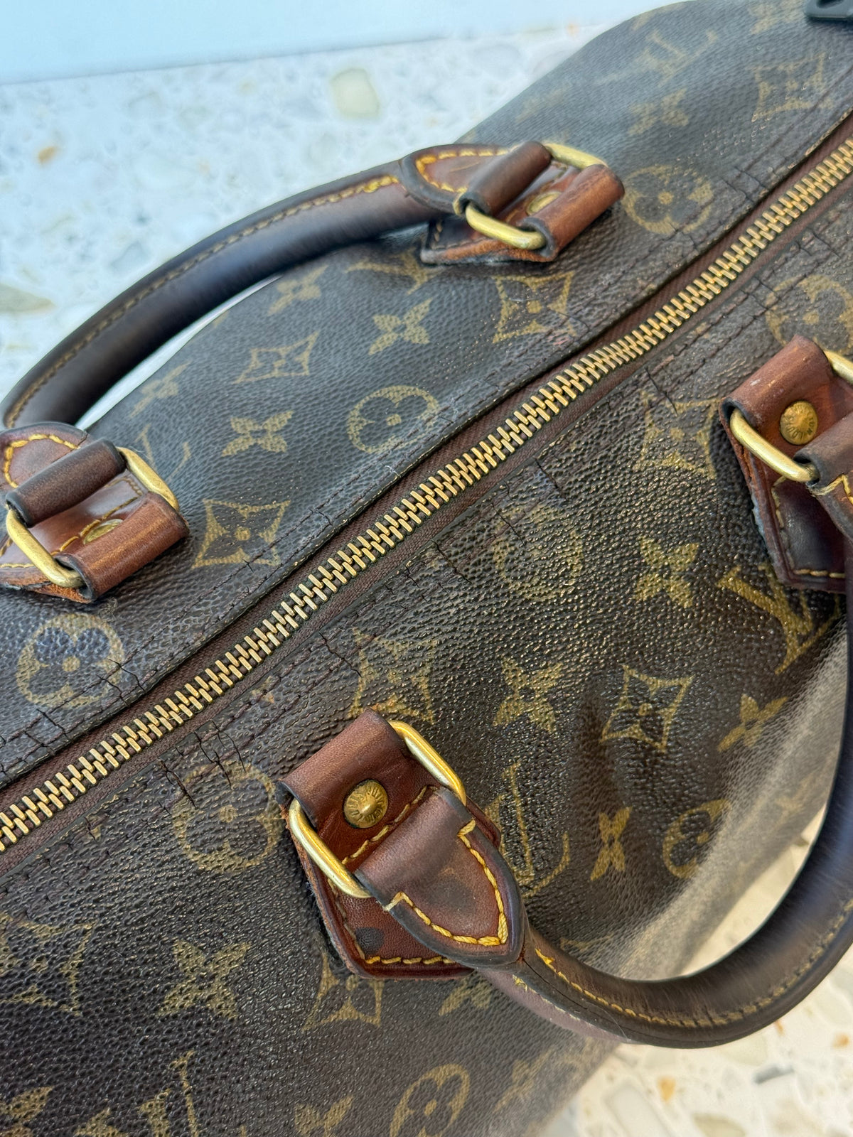 AUKSJON: LOUIS VUITTON SPEEDY 30
