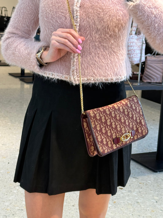 Christian Dior Trotter