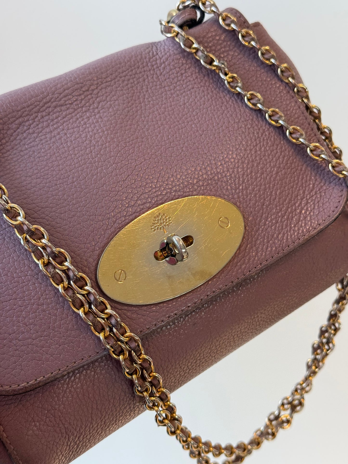 Mulberry Lily