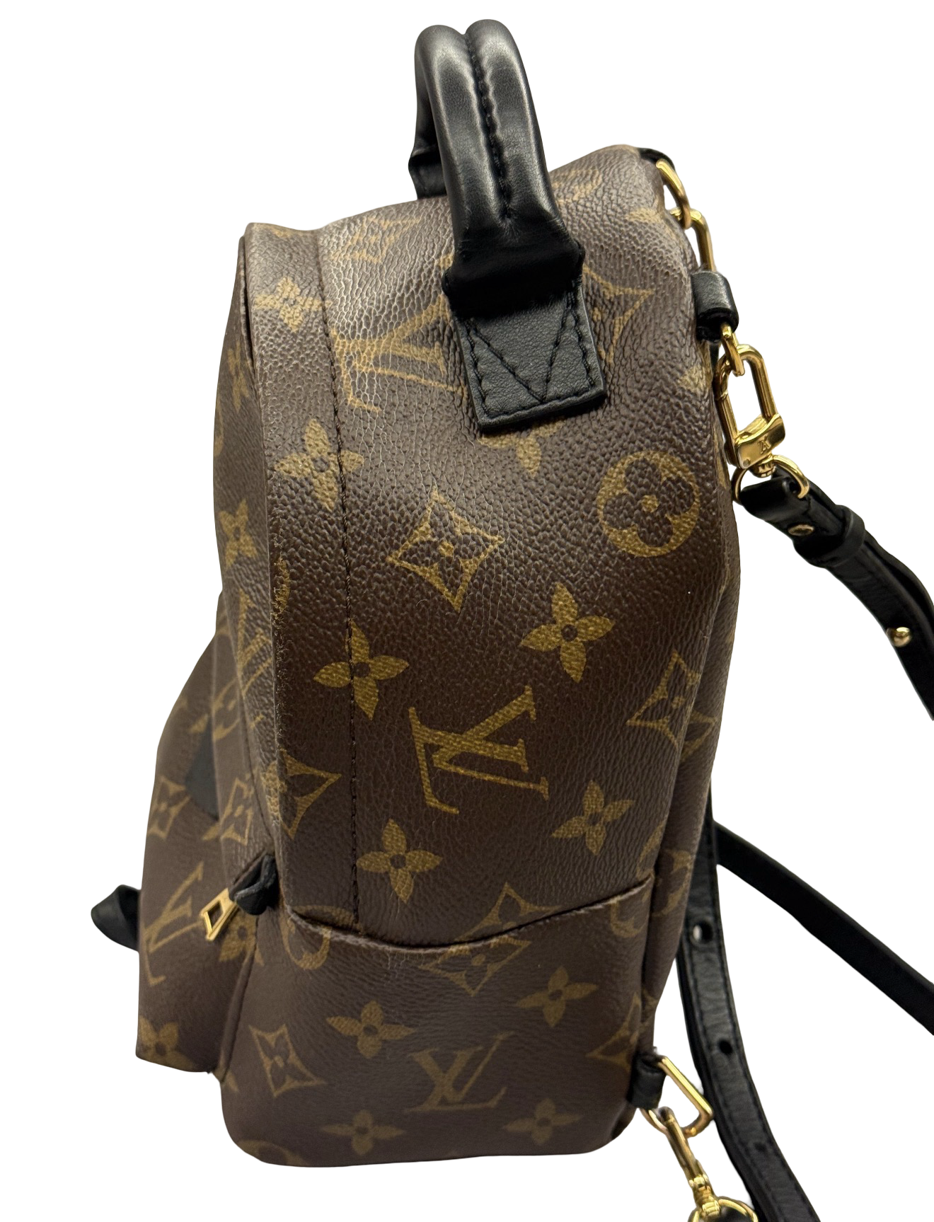 Louis Vuitton Palm Springs