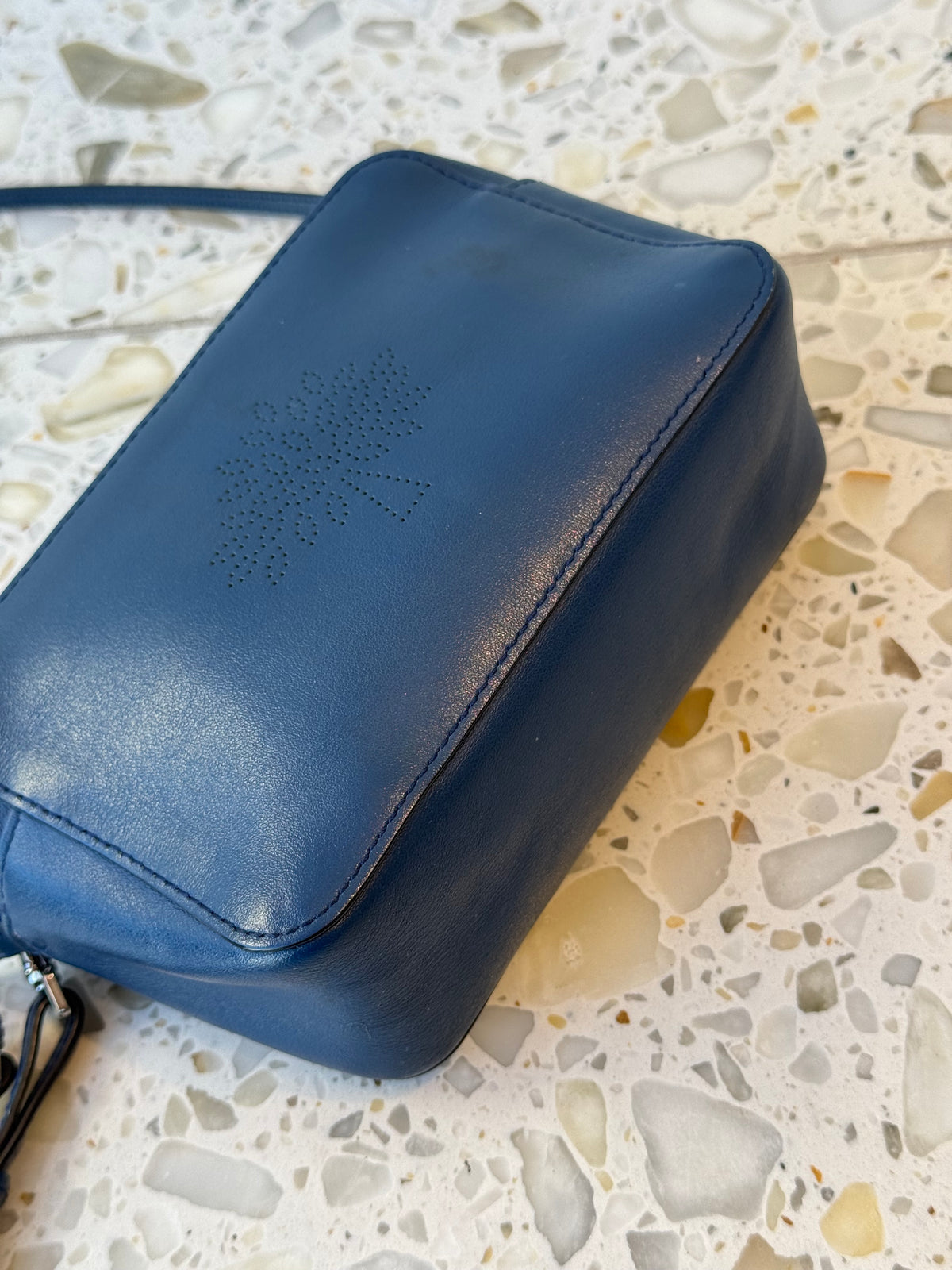 Mulberry Blossom Pochette