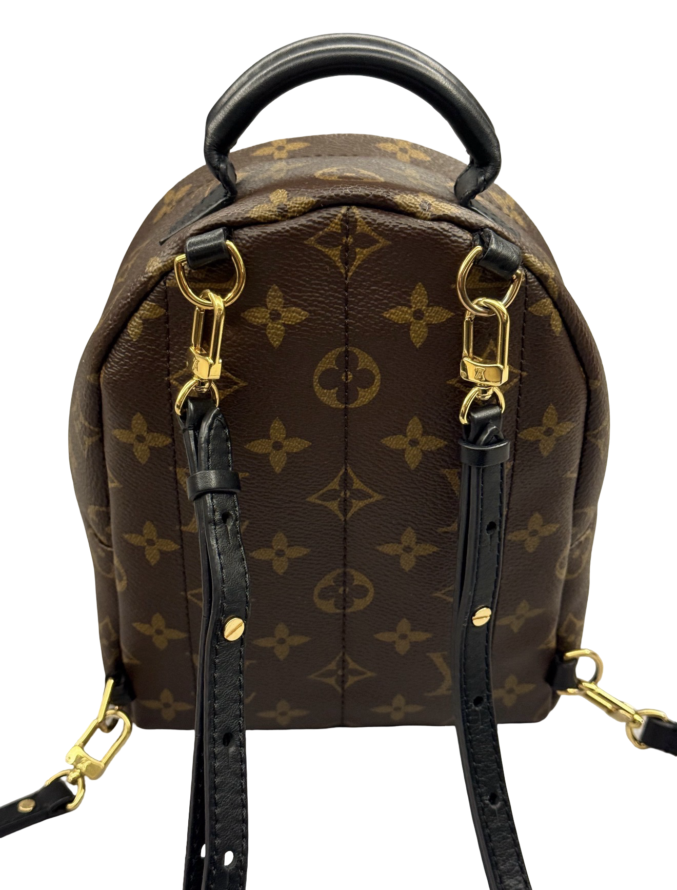 Louis Vuitton Palm Springs