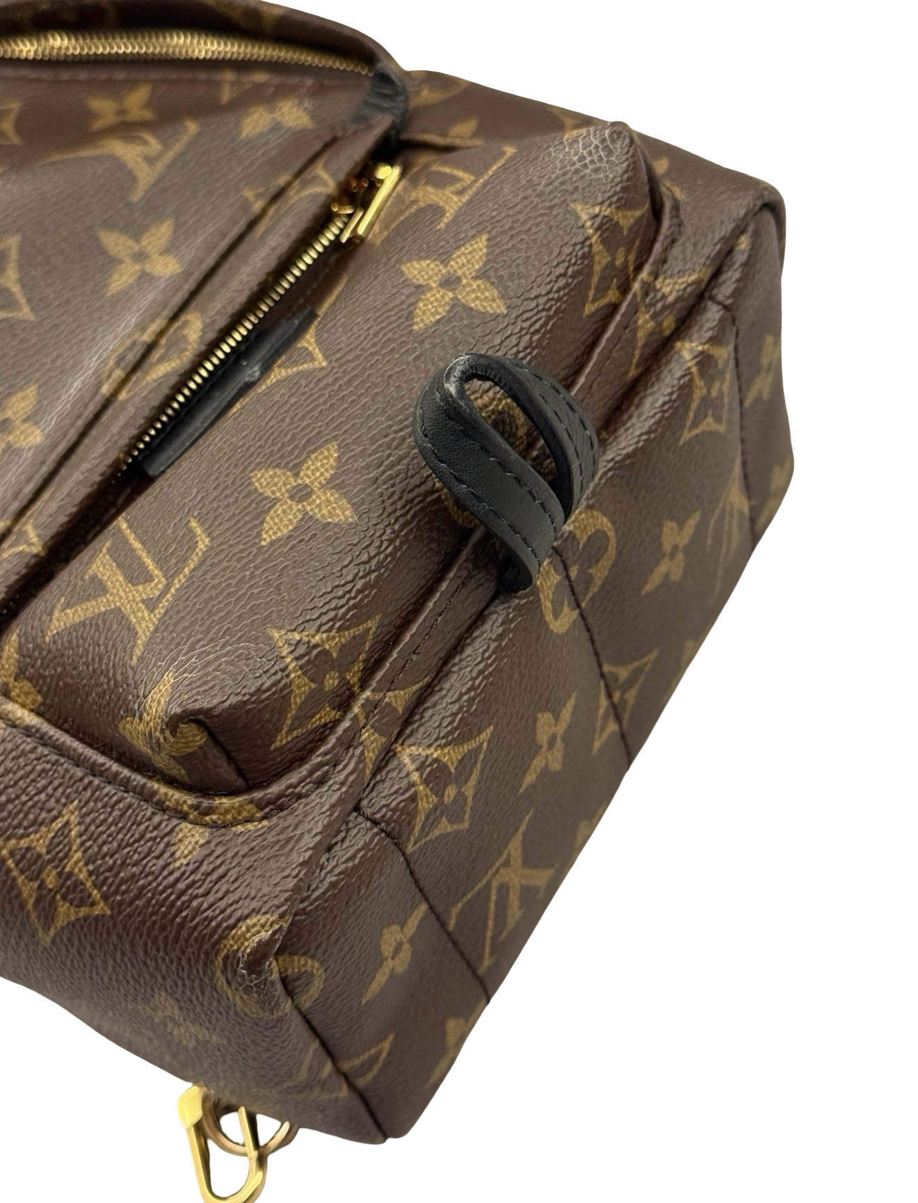 Louis Vuitton Palm Springs